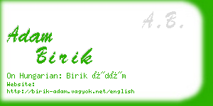 adam birik business card